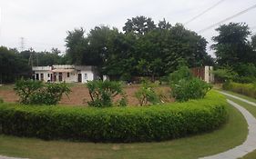 Maharaja Farms